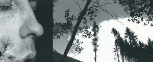 War Landscapes